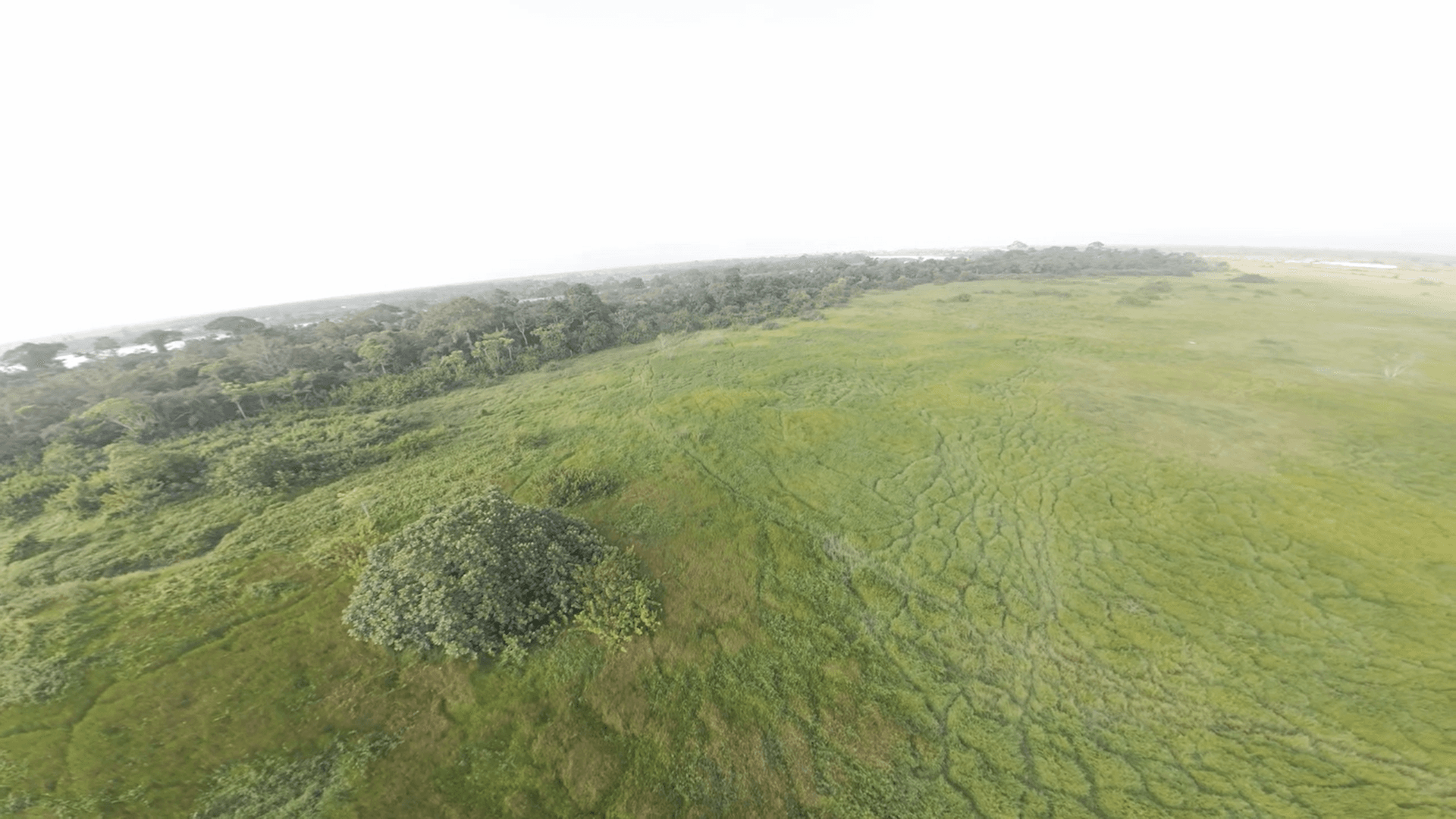 Services immobiliers: gestion, location, conseil et promotion